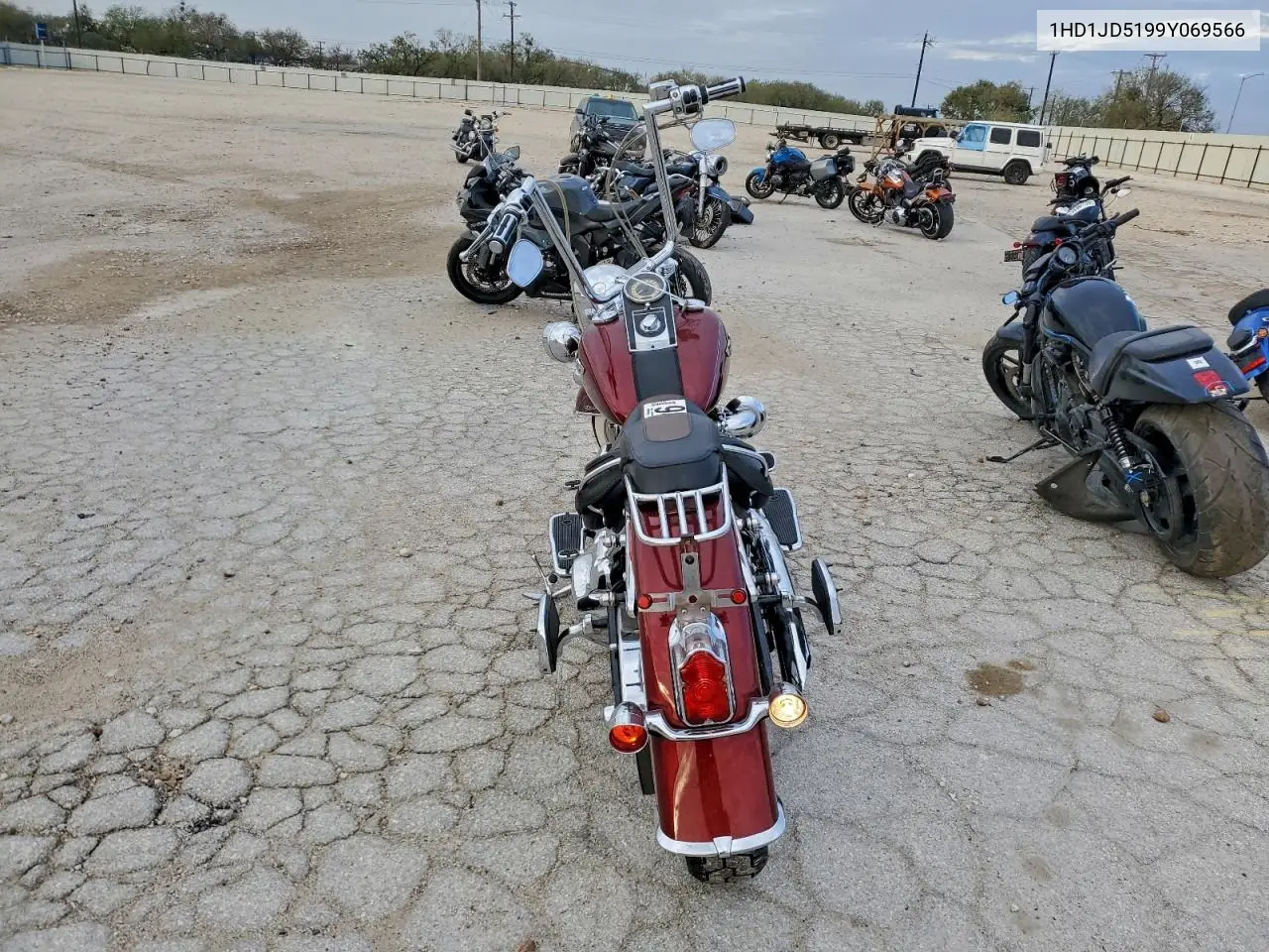 1HD1JD5199Y069566 2009 Harley-Davidson Flstn