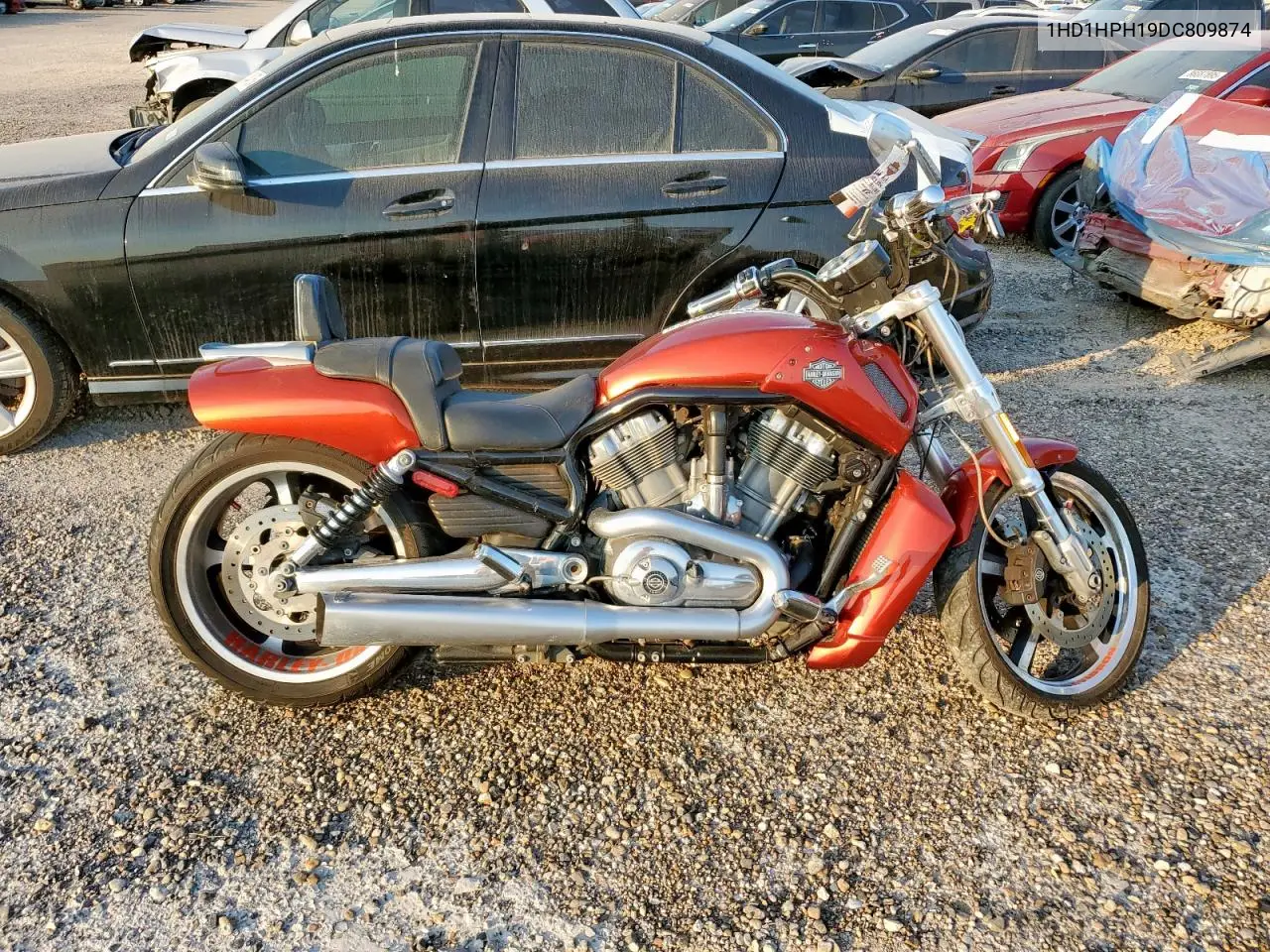 1HD1HPH19DC809874 2013 Harley-Davidson Vrscf Vrod Muscle