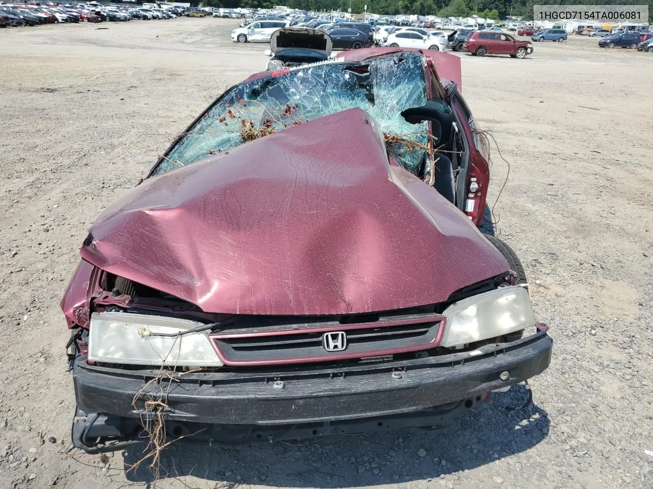 1HGCD7154TA006081 1996 Honda Accord Ex