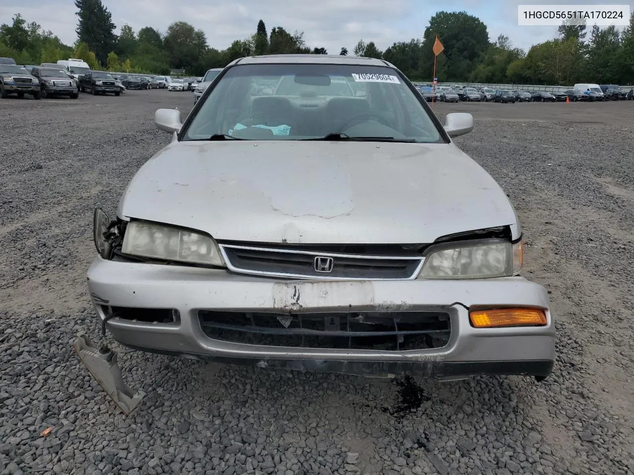 1996 Honda Accord Ex VIN: 1HGCD5651TA170224 Lot: 70529604