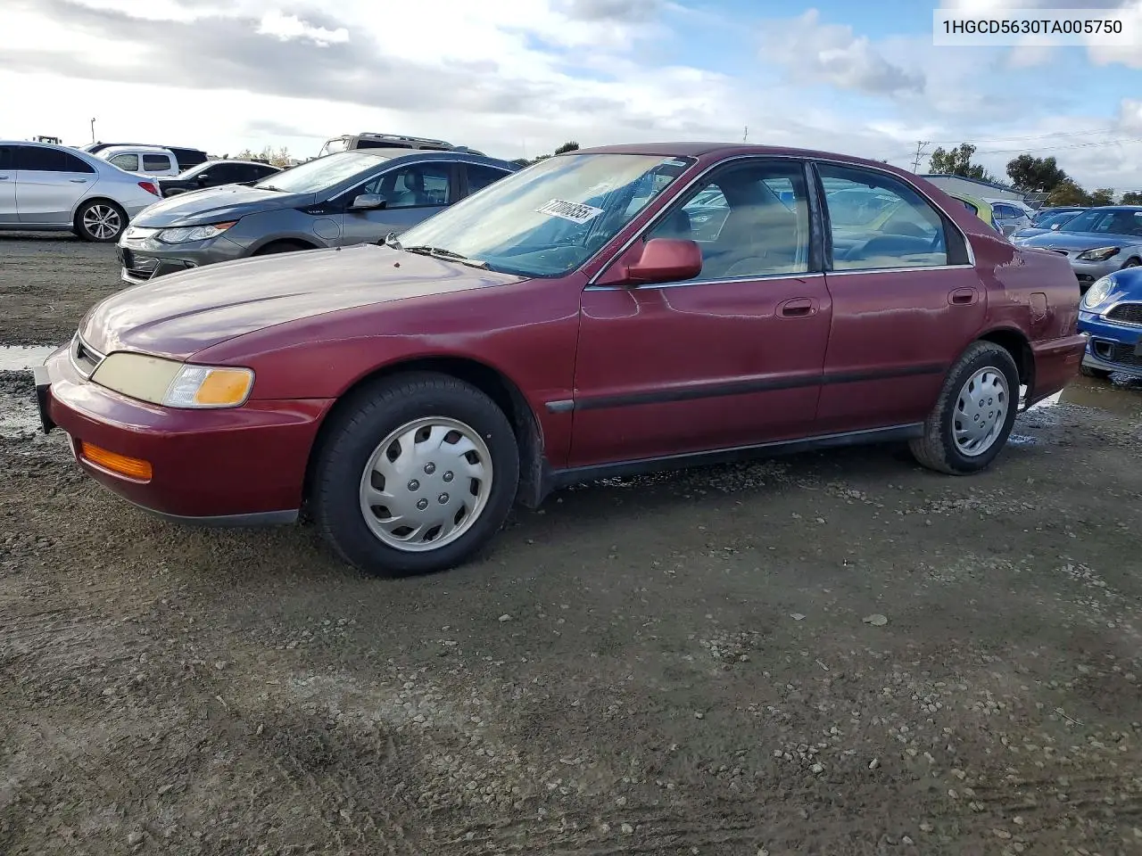 1996 Honda Accord Lx VIN: 1HGCD5630TA005750 Lot: 77806855