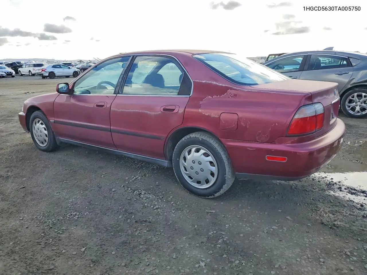 1996 Honda Accord Lx VIN: 1HGCD5630TA005750 Lot: 77806855