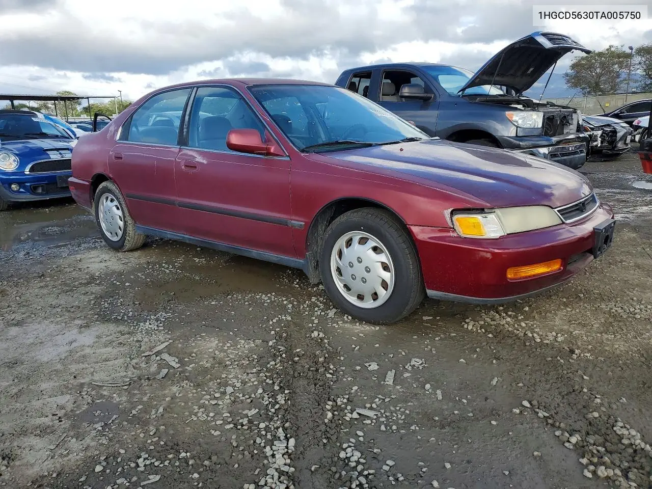 1996 Honda Accord Lx VIN: 1HGCD5630TA005750 Lot: 77806855