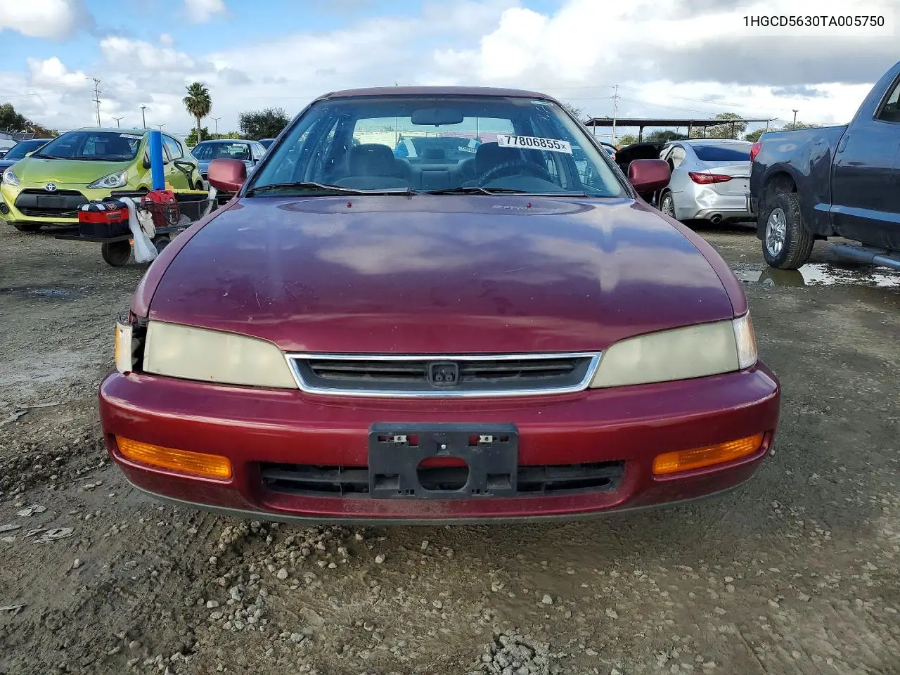 1996 Honda Accord Lx VIN: 1HGCD5630TA005750 Lot: 77806855