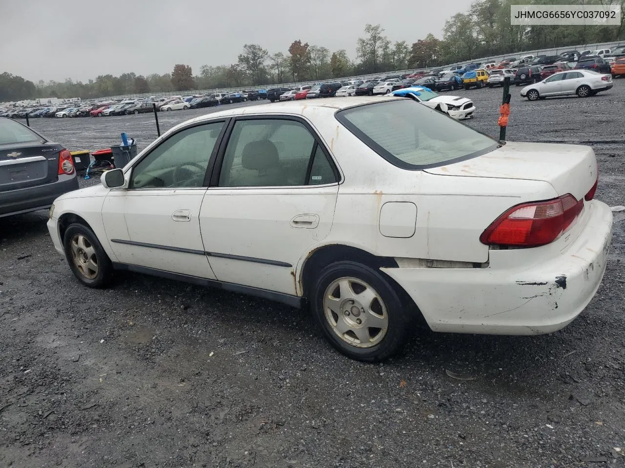 2000 Honda Accord Lx VIN: JHMCG6656YC037092 Lot: 72783784