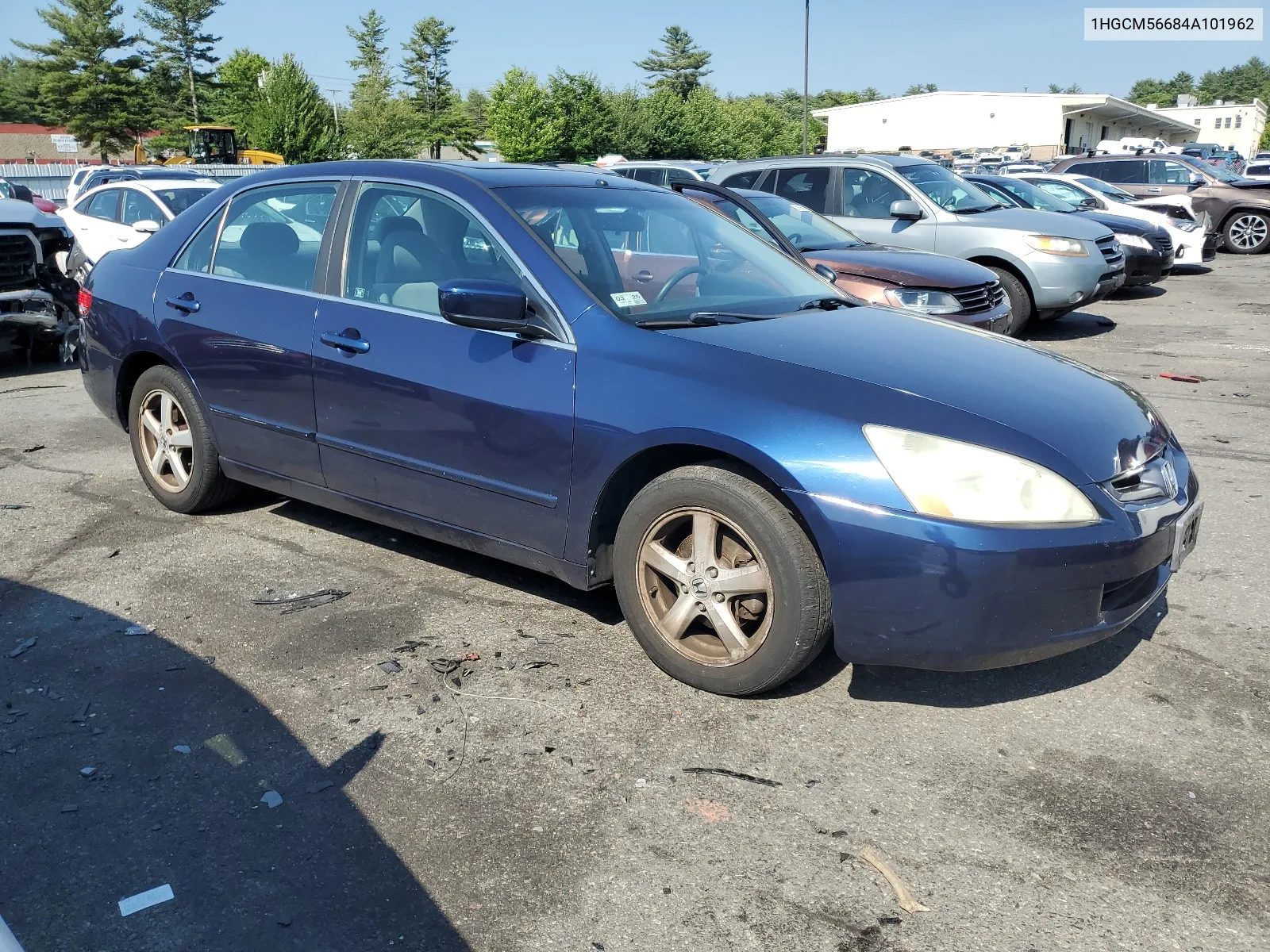 2004 Honda Accord Ex VIN: 1HGCM56684A101962 Lot: 59019654