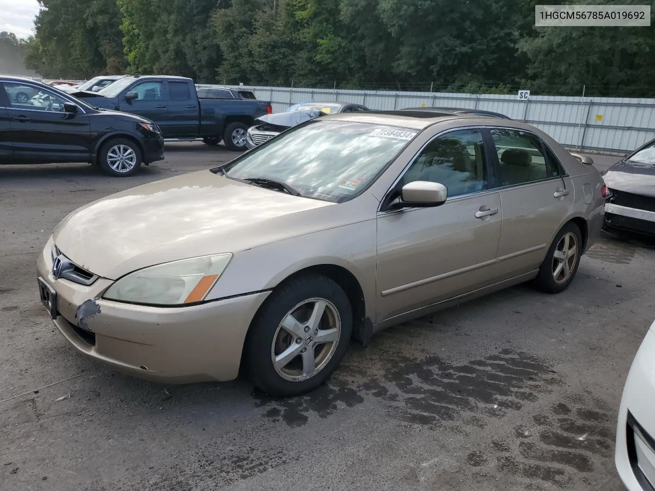 2005 Honda Accord Ex VIN: 1HGCM56785A019692 Lot: 72384834