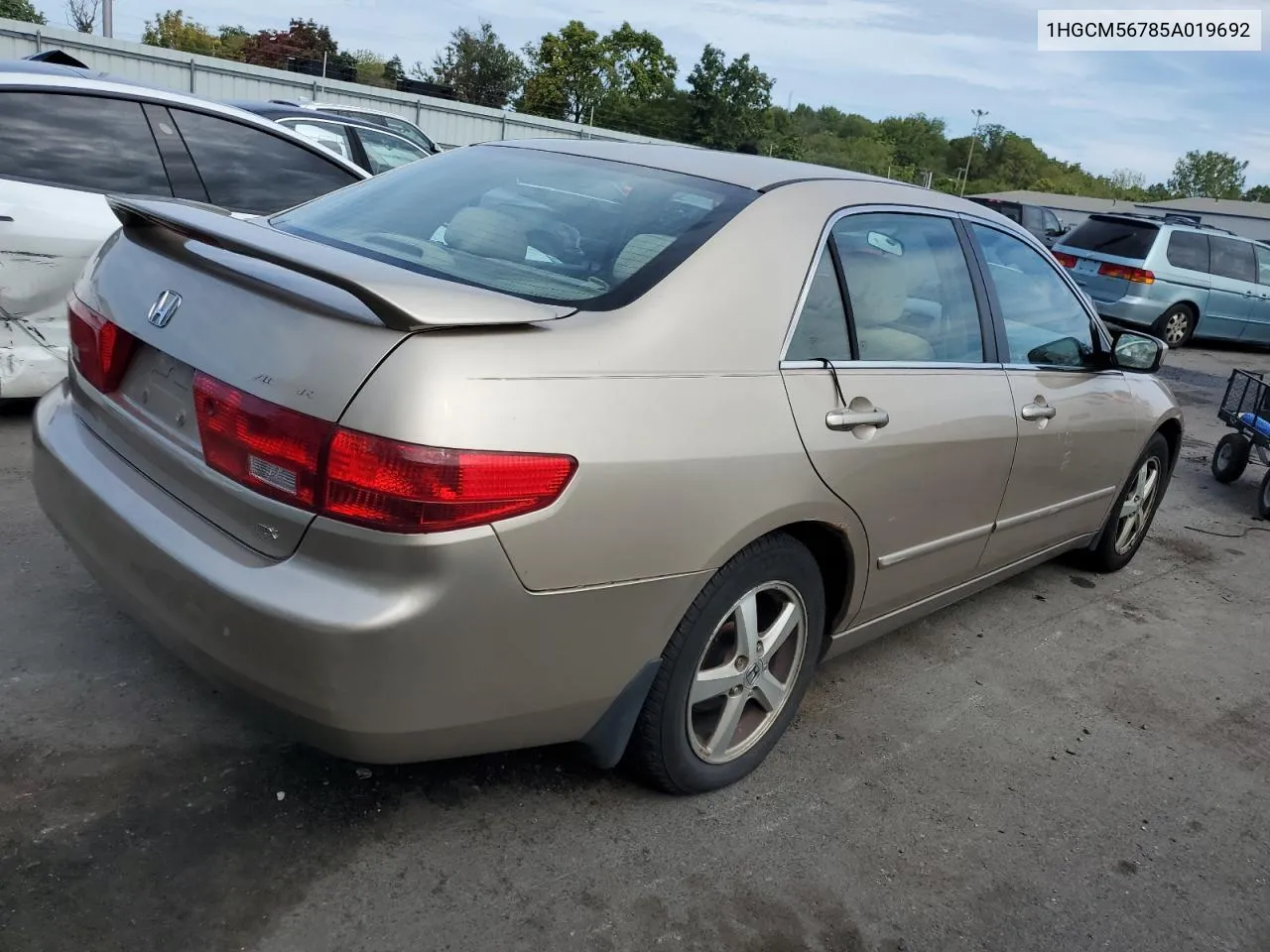 1HGCM56785A019692 2005 Honda Accord Ex