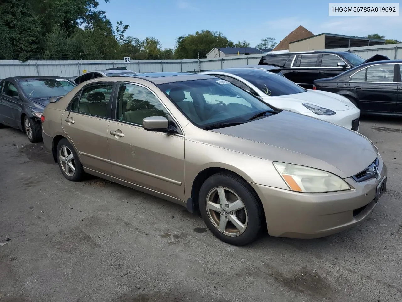 2005 Honda Accord Ex VIN: 1HGCM56785A019692 Lot: 72384834