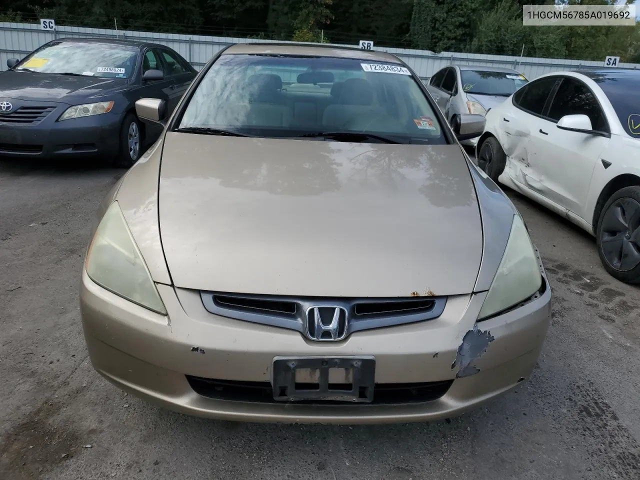 1HGCM56785A019692 2005 Honda Accord Ex