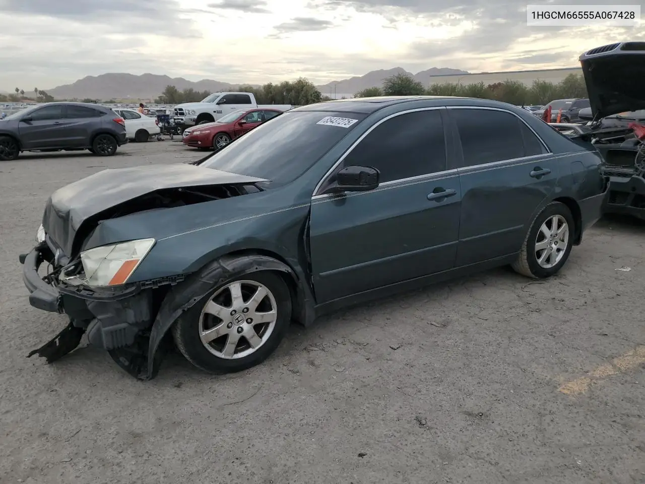 1HGCM66555A067428 2005 Honda Accord Ex