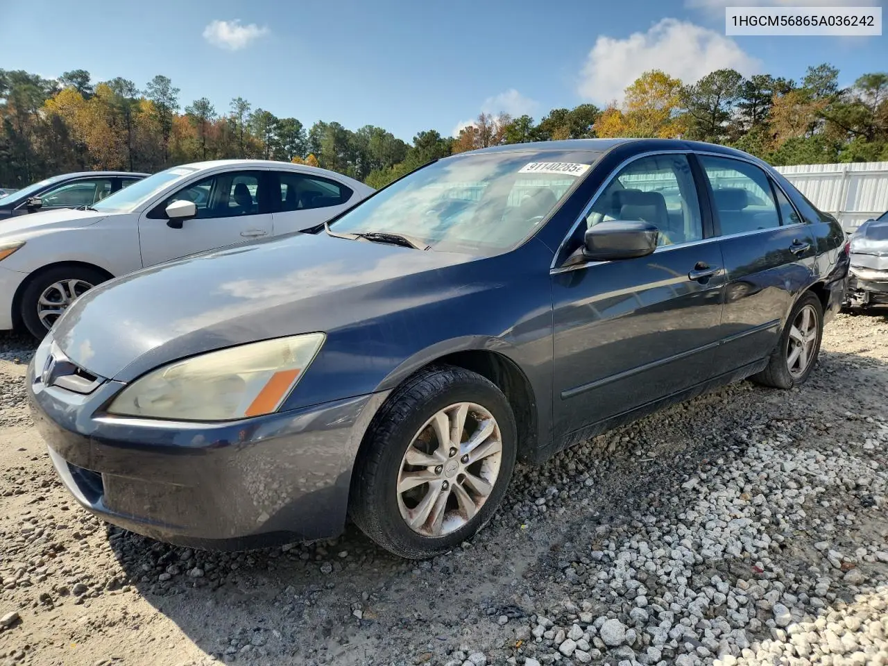 1HGCM56865A036242 2005 Honda Accord Ex