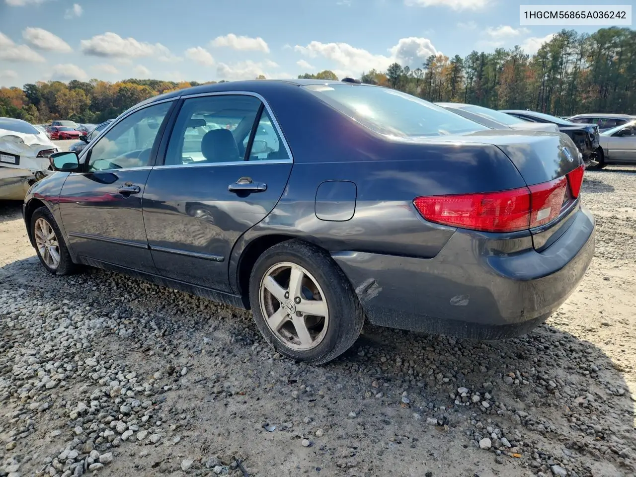 1HGCM56865A036242 2005 Honda Accord Ex