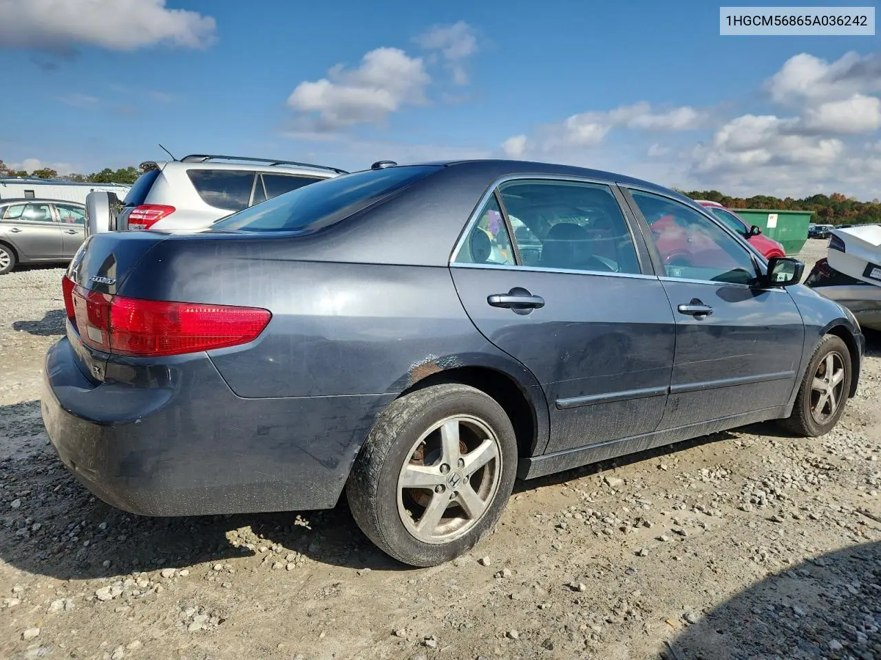 1HGCM56865A036242 2005 Honda Accord Ex