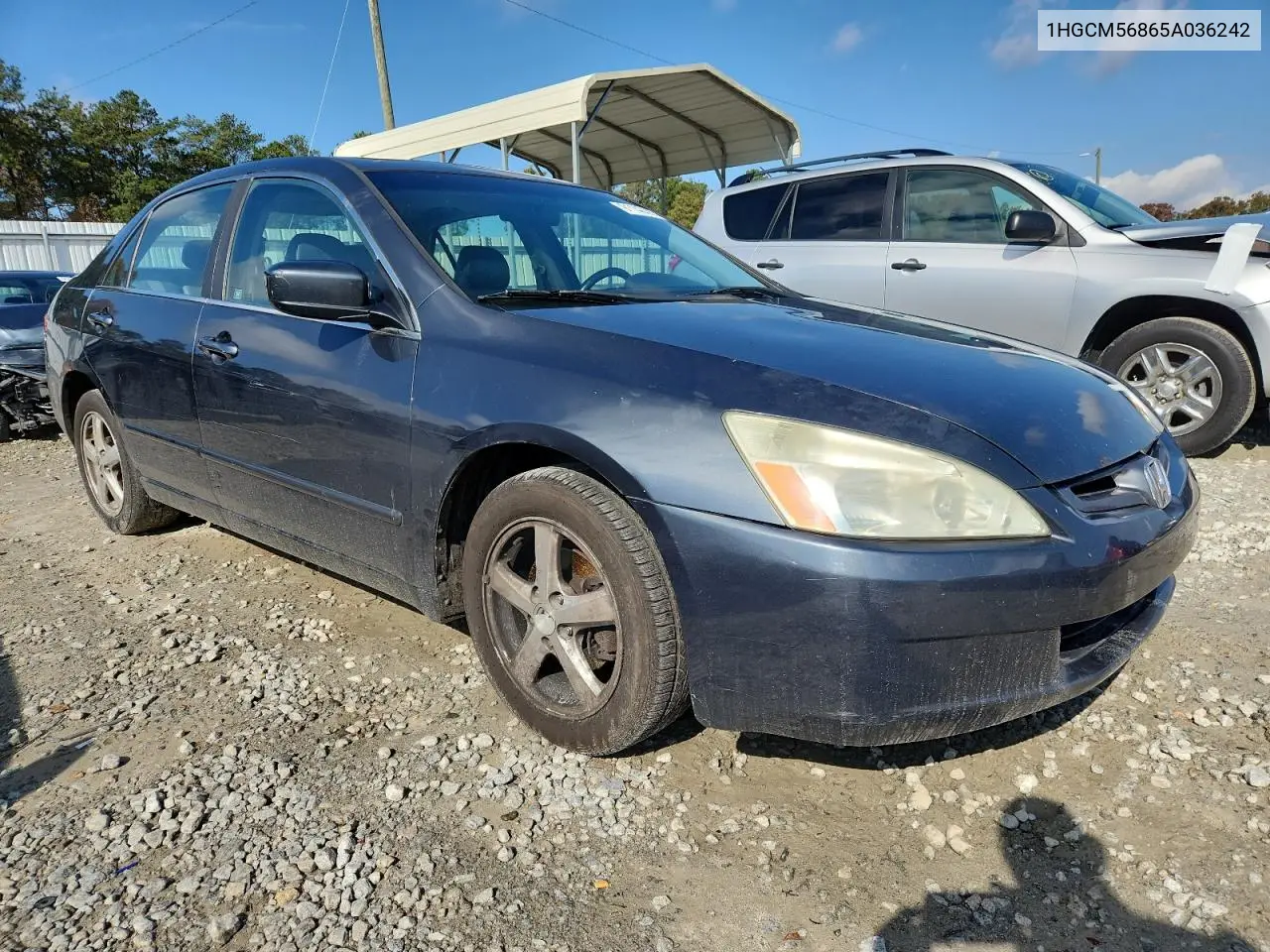 1HGCM56865A036242 2005 Honda Accord Ex