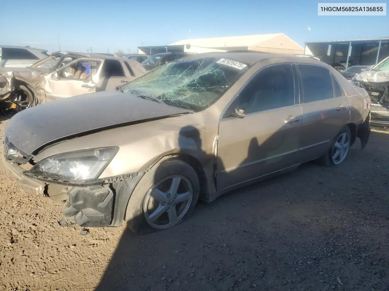 1HGCM56825A136855 2005 Honda Accord Ex
