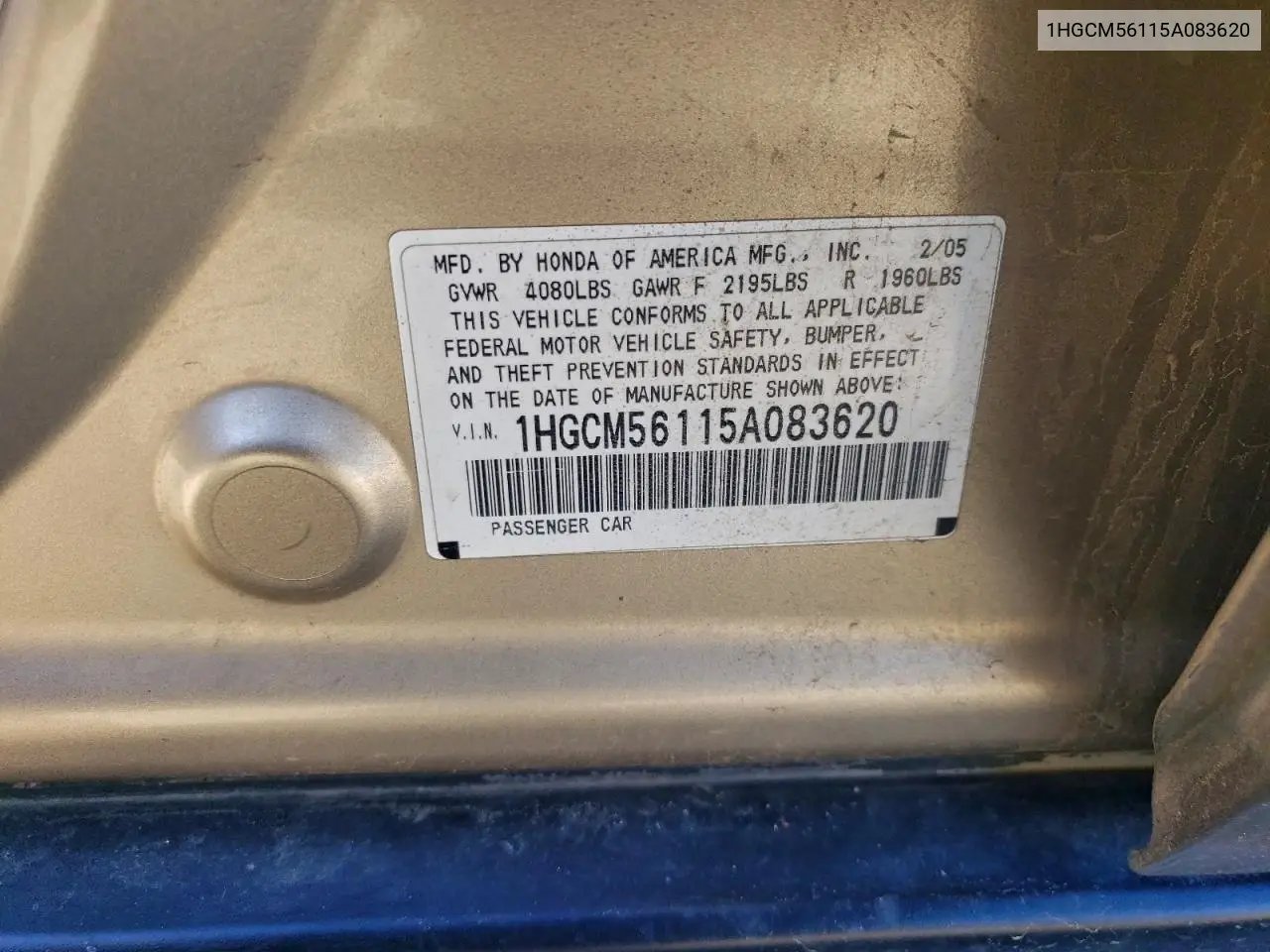 1HGCM56115A083620 2005 Honda Accord Dx