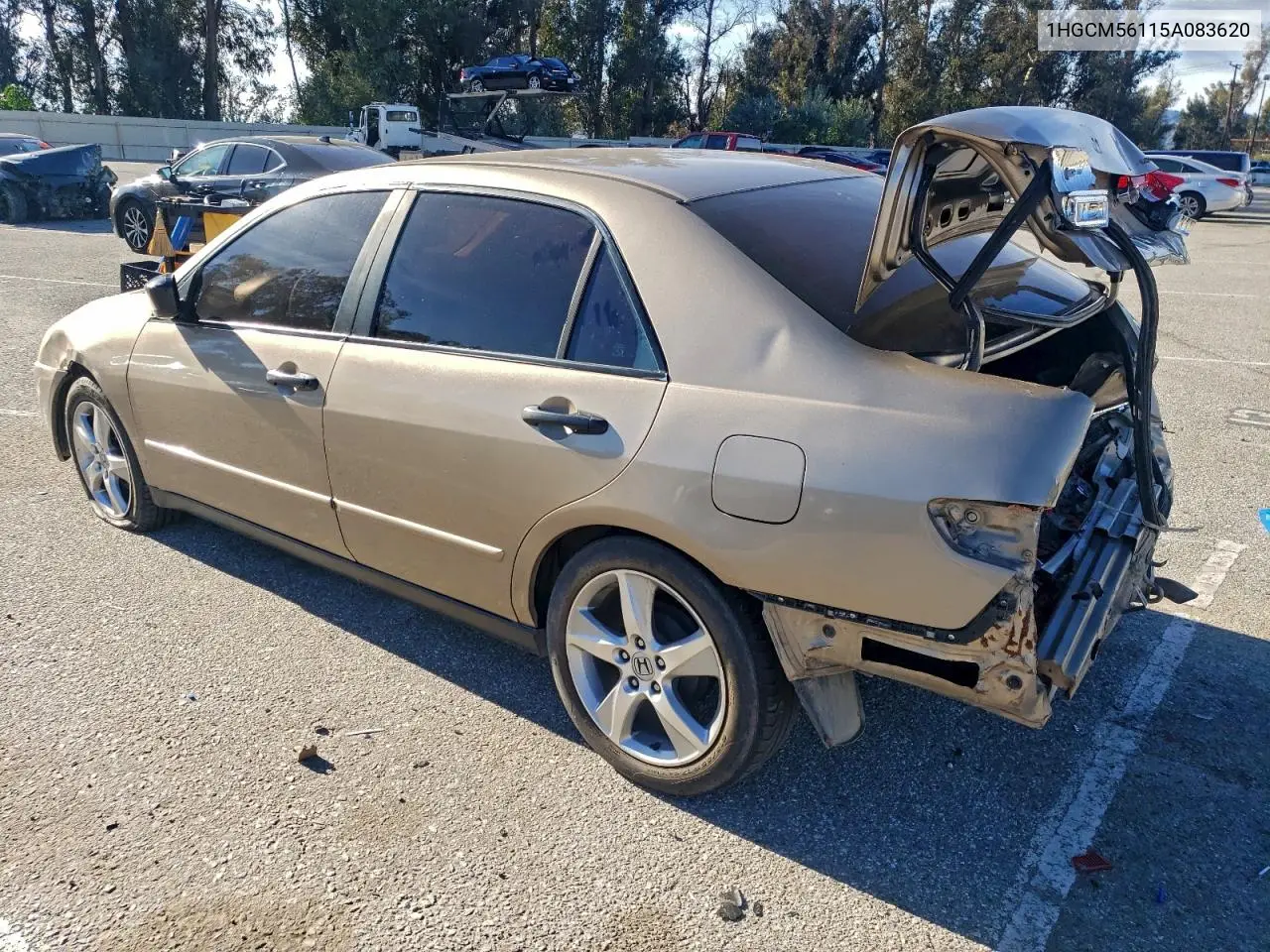1HGCM56115A083620 2005 Honda Accord Dx