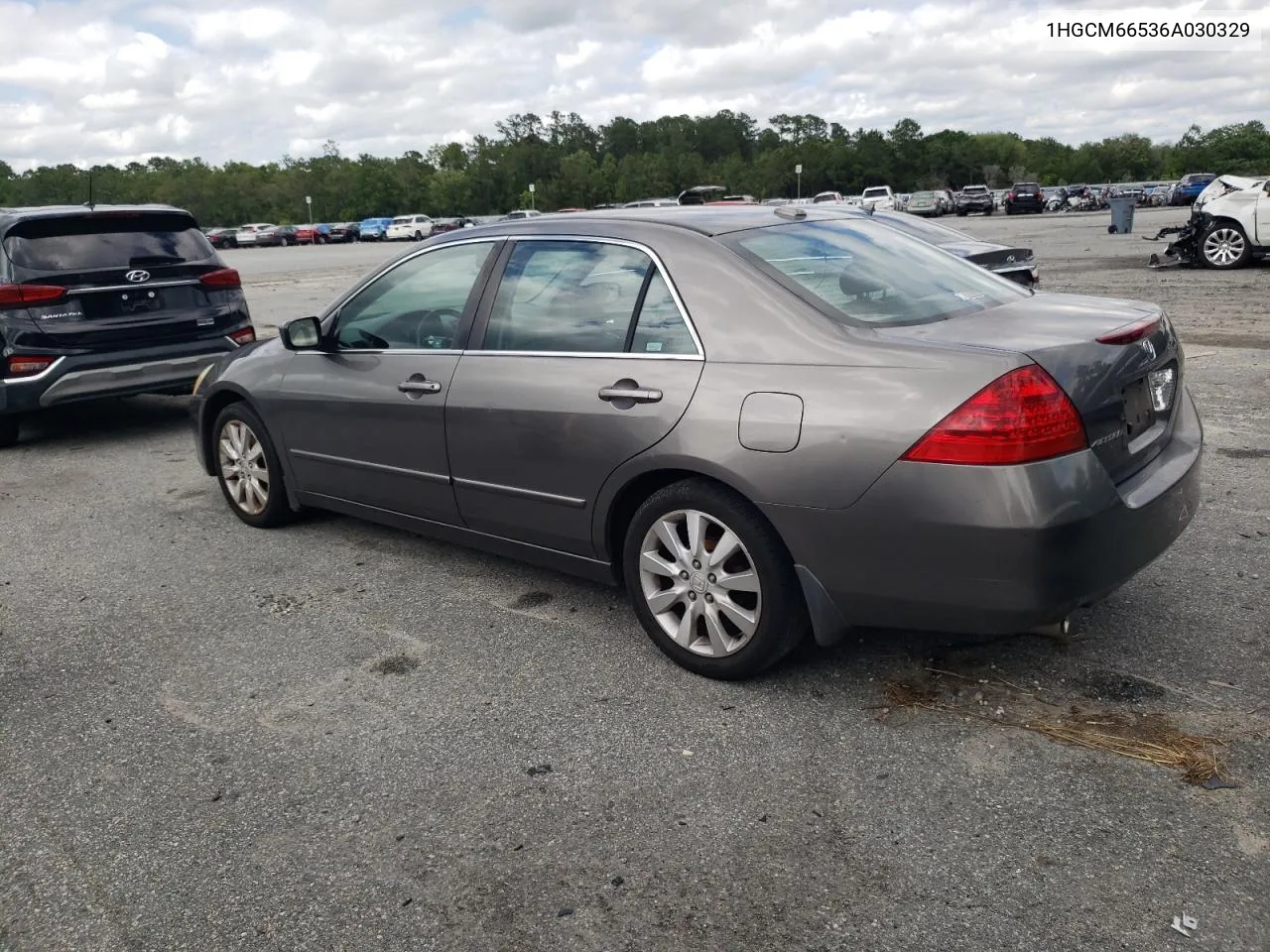 2006 Honda Accord Ex VIN: 1HGCM66536A030329 Lot: 52151164