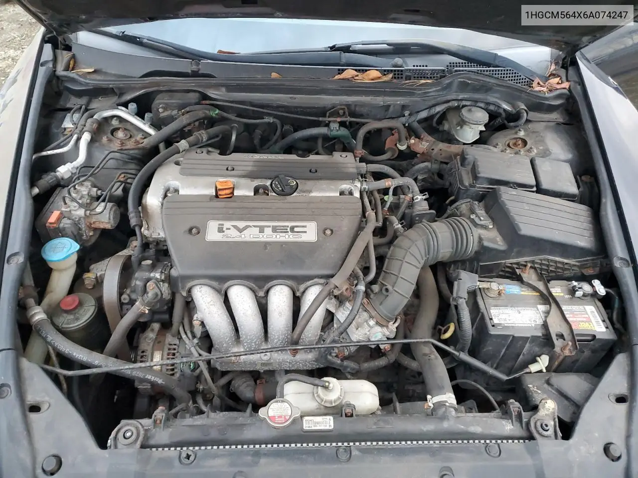 1HGCM564X6A074247 2006 Honda Accord Lx