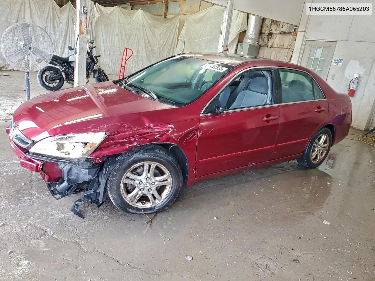 1HGCM56786A065203 2006 Honda Accord Ex
