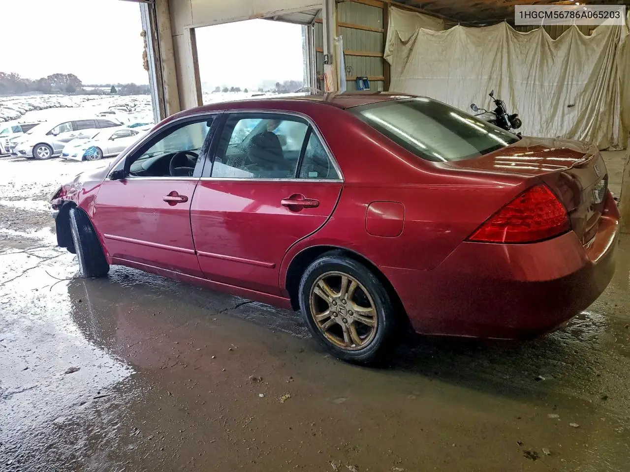 1HGCM56786A065203 2006 Honda Accord Ex