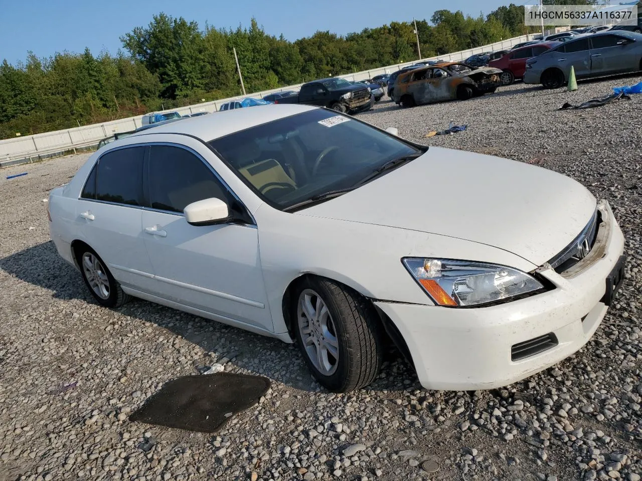 2007 Honda Accord Se VIN: 1HGCM56337A116377 Lot: 70871754