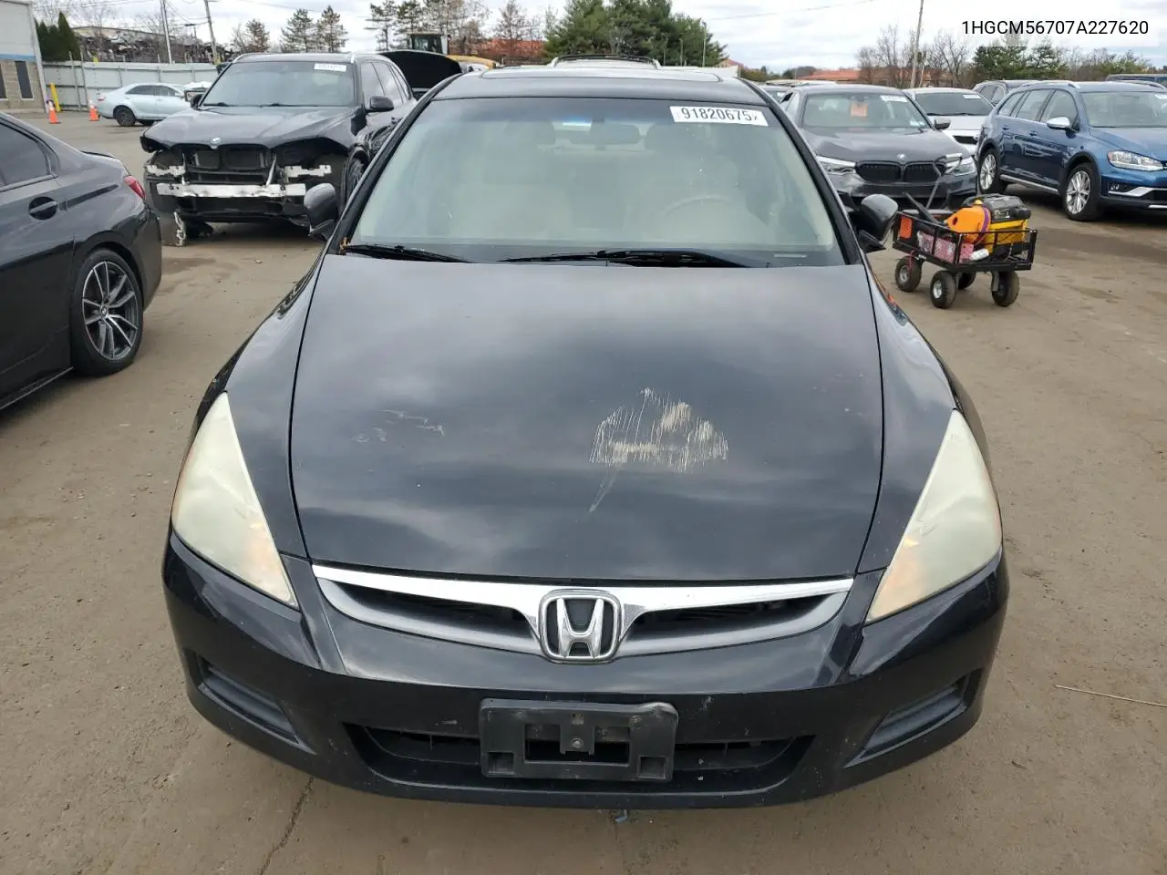 1HGCM56707A227620 2007 Honda Accord Ex