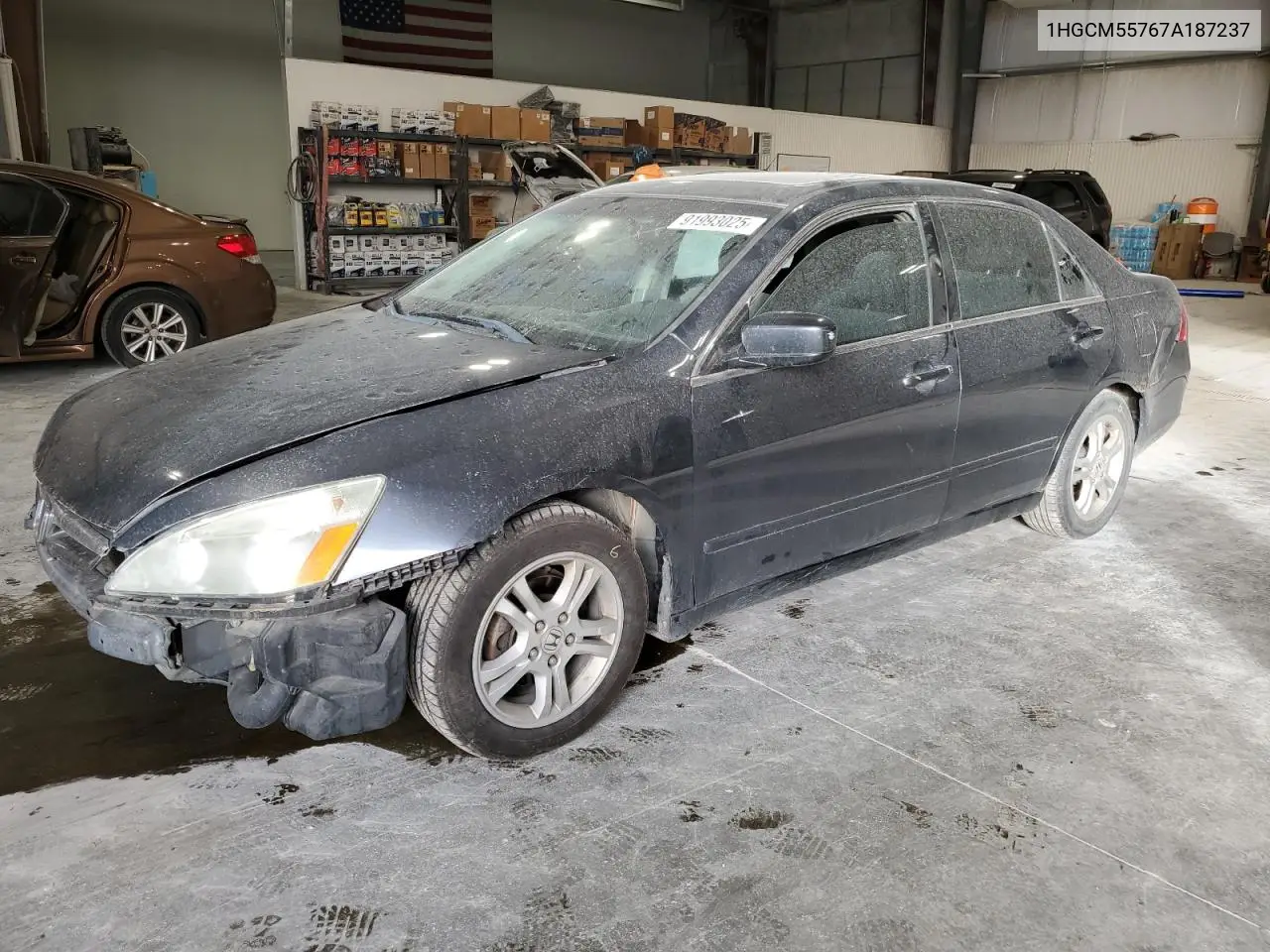 1HGCM55767A187237 2007 Honda Accord Ex