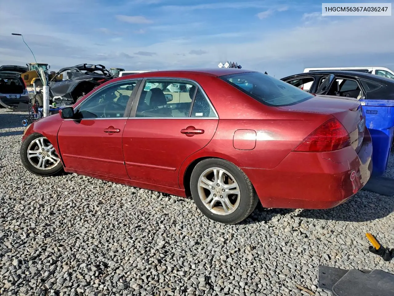 1HGCM56367A036247 2007 Honda Accord Se