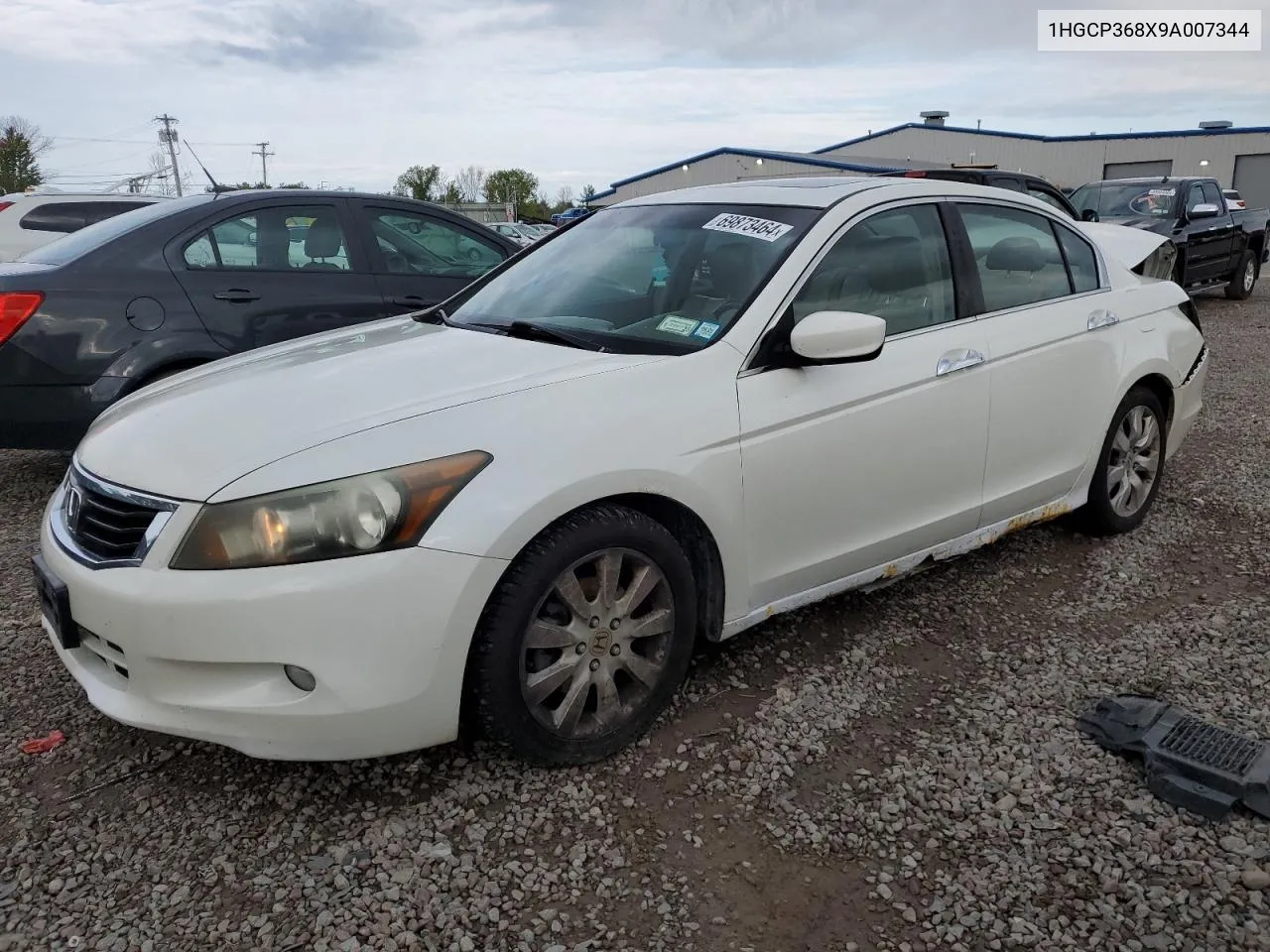 2009 Honda Accord Exl VIN: 1HGCP368X9A007344 Lot: 69873464