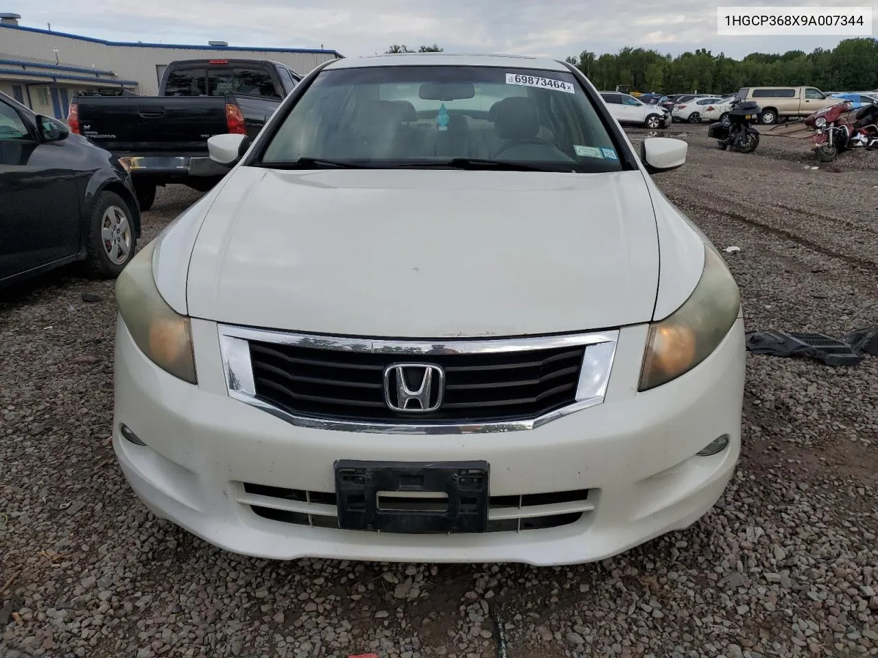 2009 Honda Accord Exl VIN: 1HGCP368X9A007344 Lot: 69873464