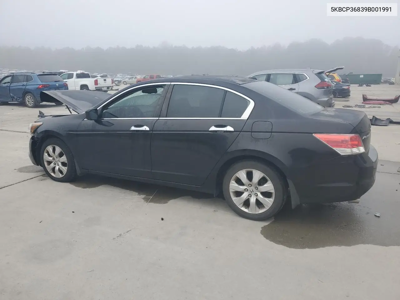 5KBCP36839B001991 2009 Honda Accord Exl
