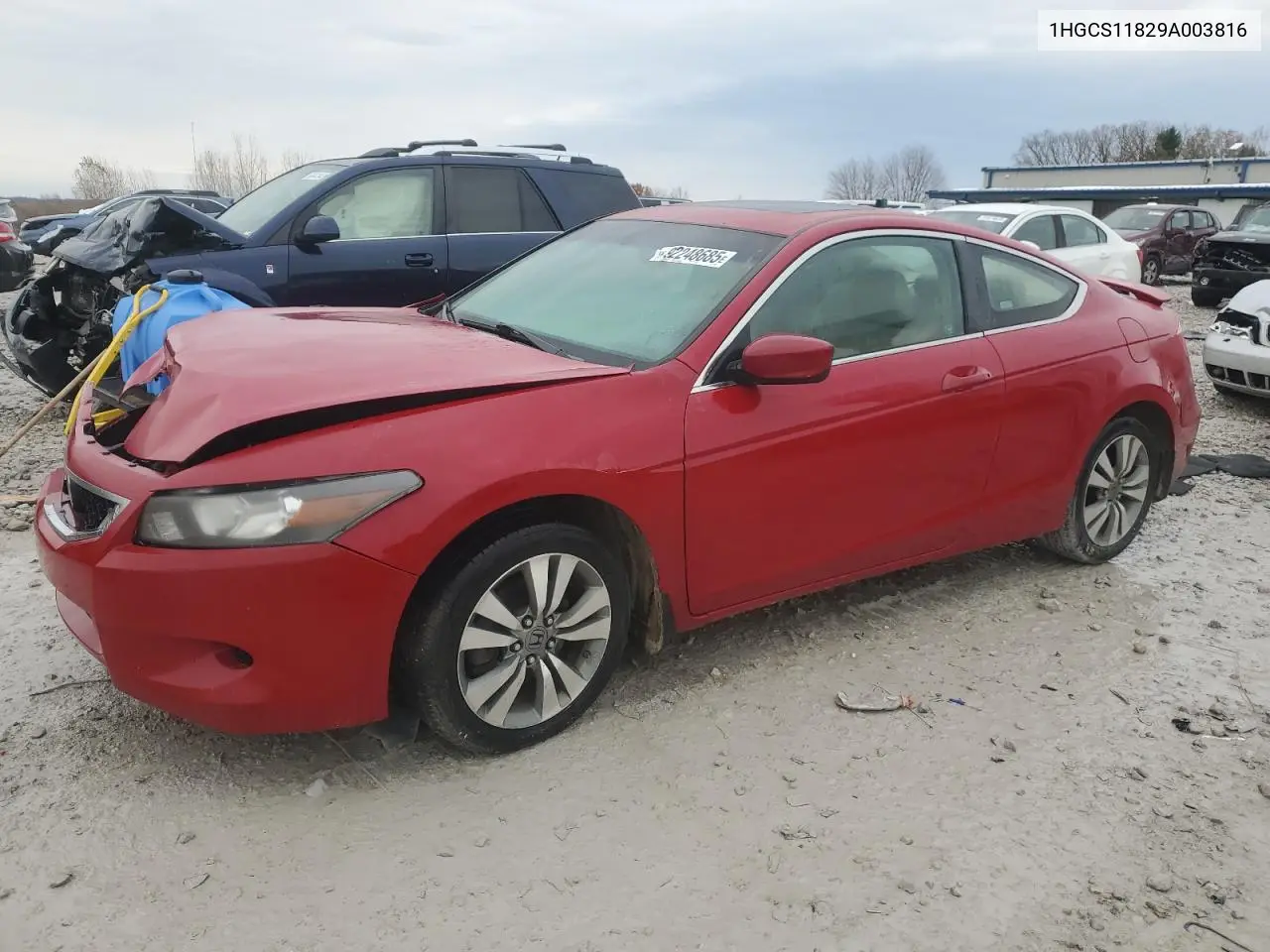 1HGCS11829A003816 2009 Honda Accord Exl