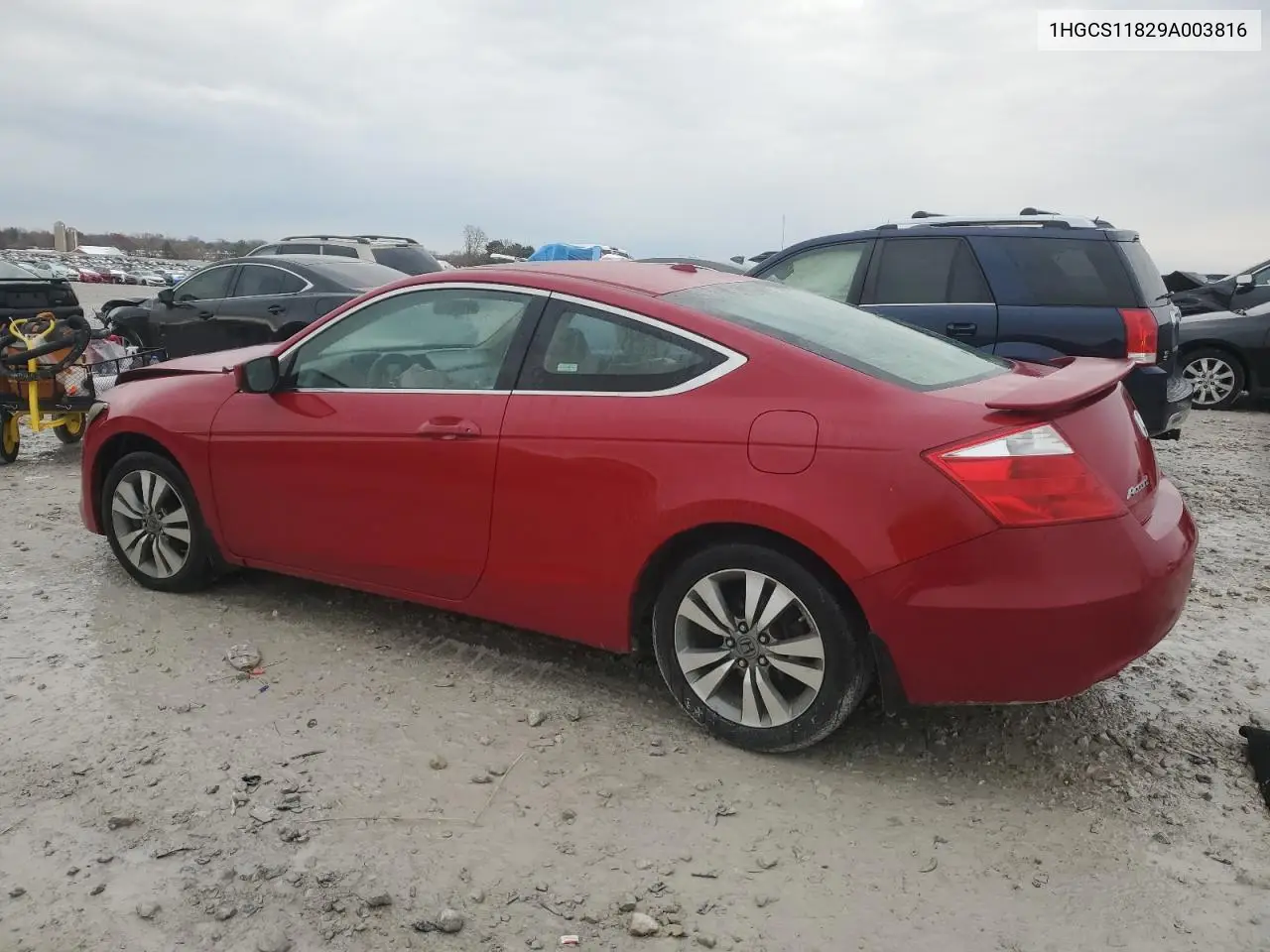 1HGCS11829A003816 2009 Honda Accord Exl