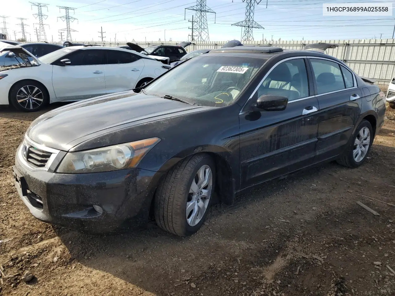 1HGCP36899A025558 2009 Honda Accord Exl
