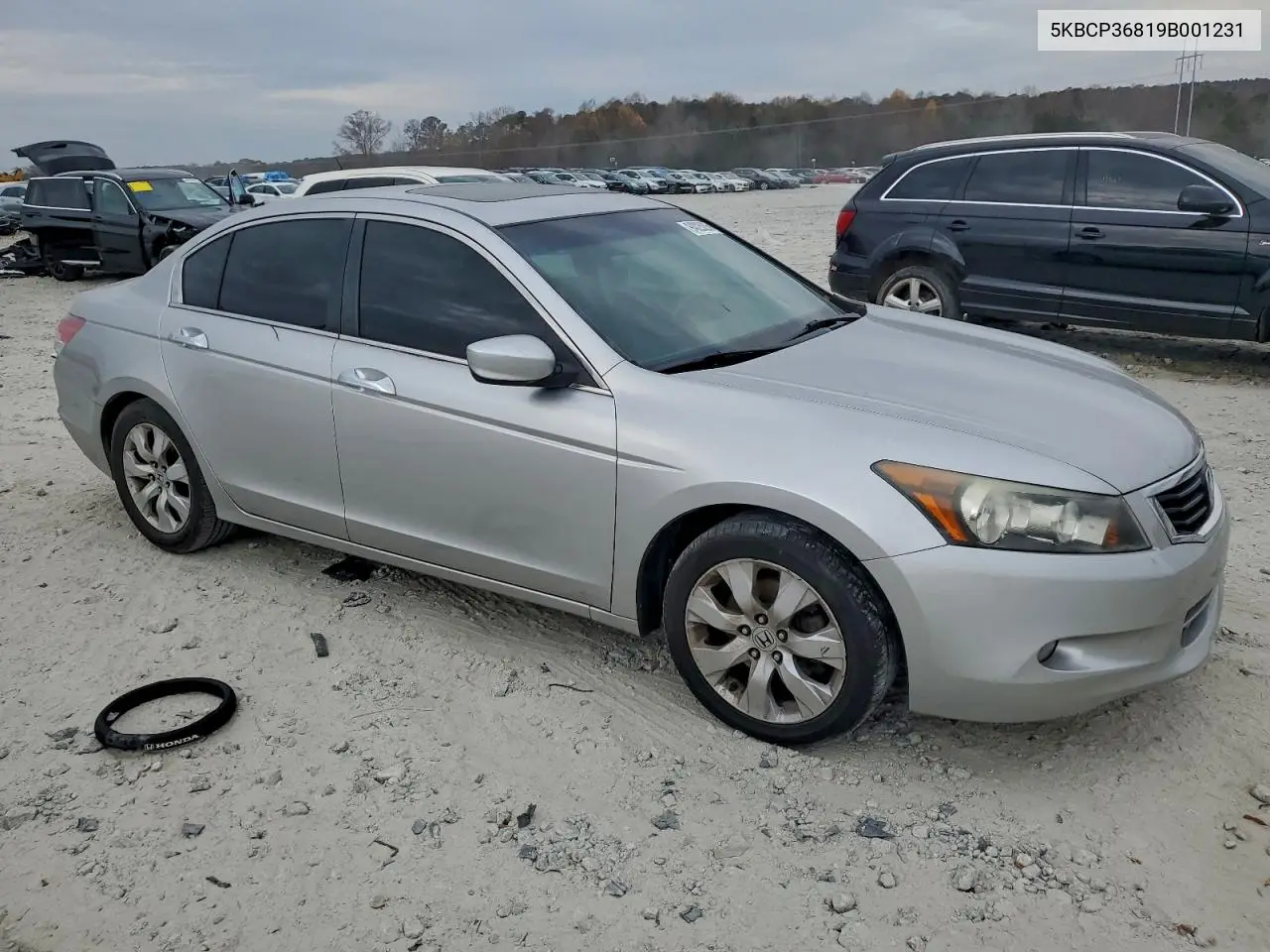 5KBCP36819B001231 2009 Honda Accord Exl