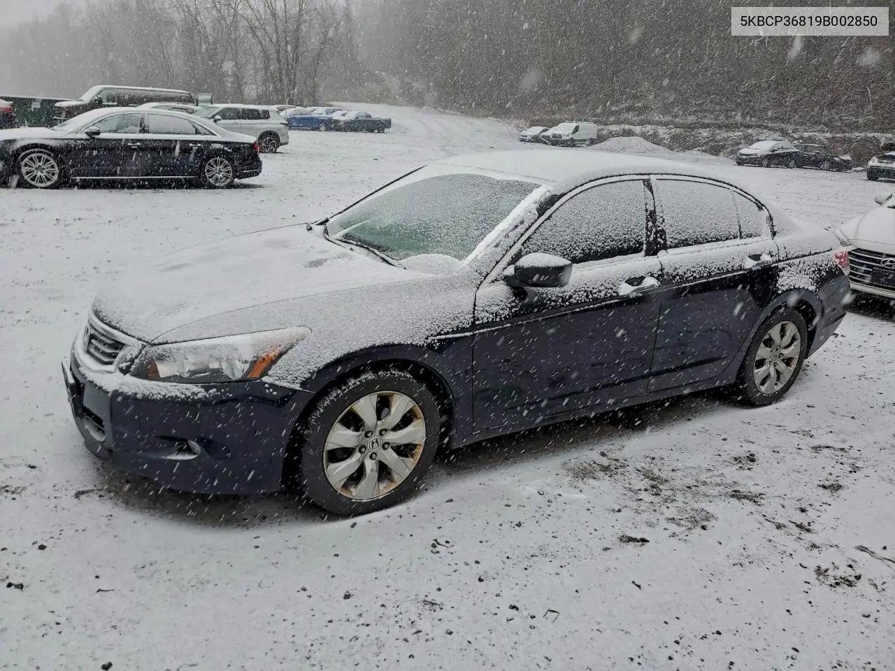 5KBCP36819B002850 2009 Honda Accord Exl