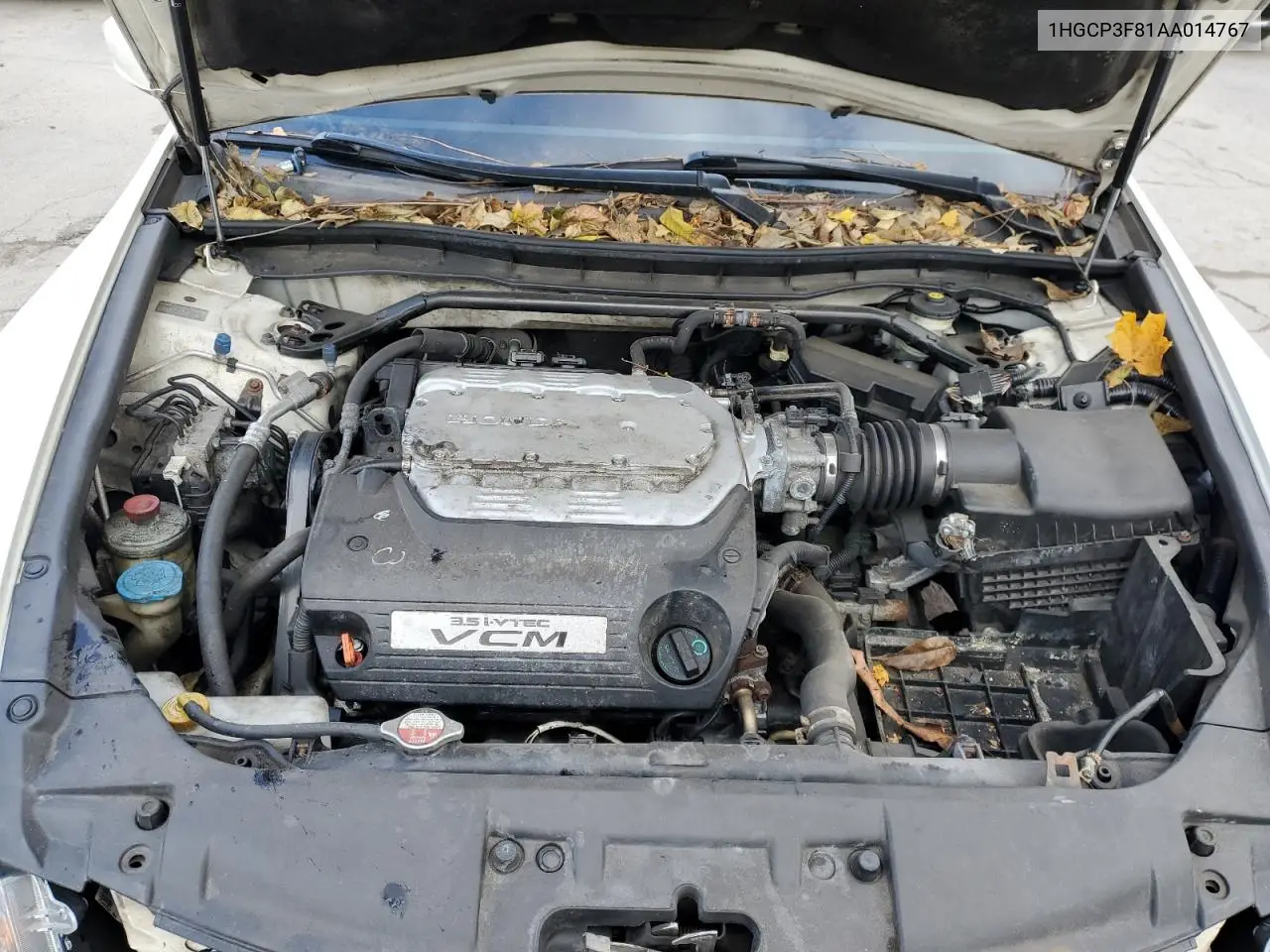1HGCP3F81AA014767 2010 Honda Accord Exl