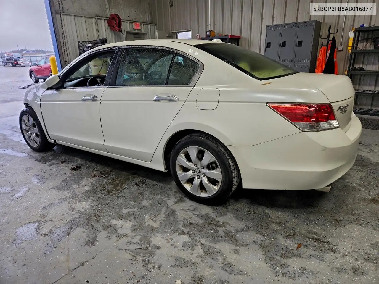 5KBCP3F88AB016877 2010 Honda Accord Exl
