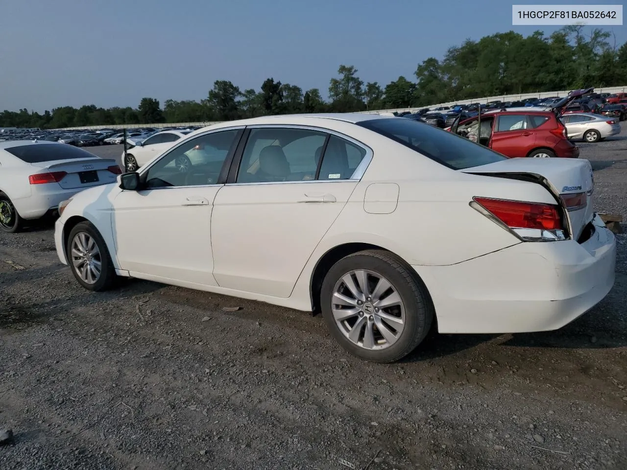 1HGCP2F81BA052642 2011 Honda Accord Exl