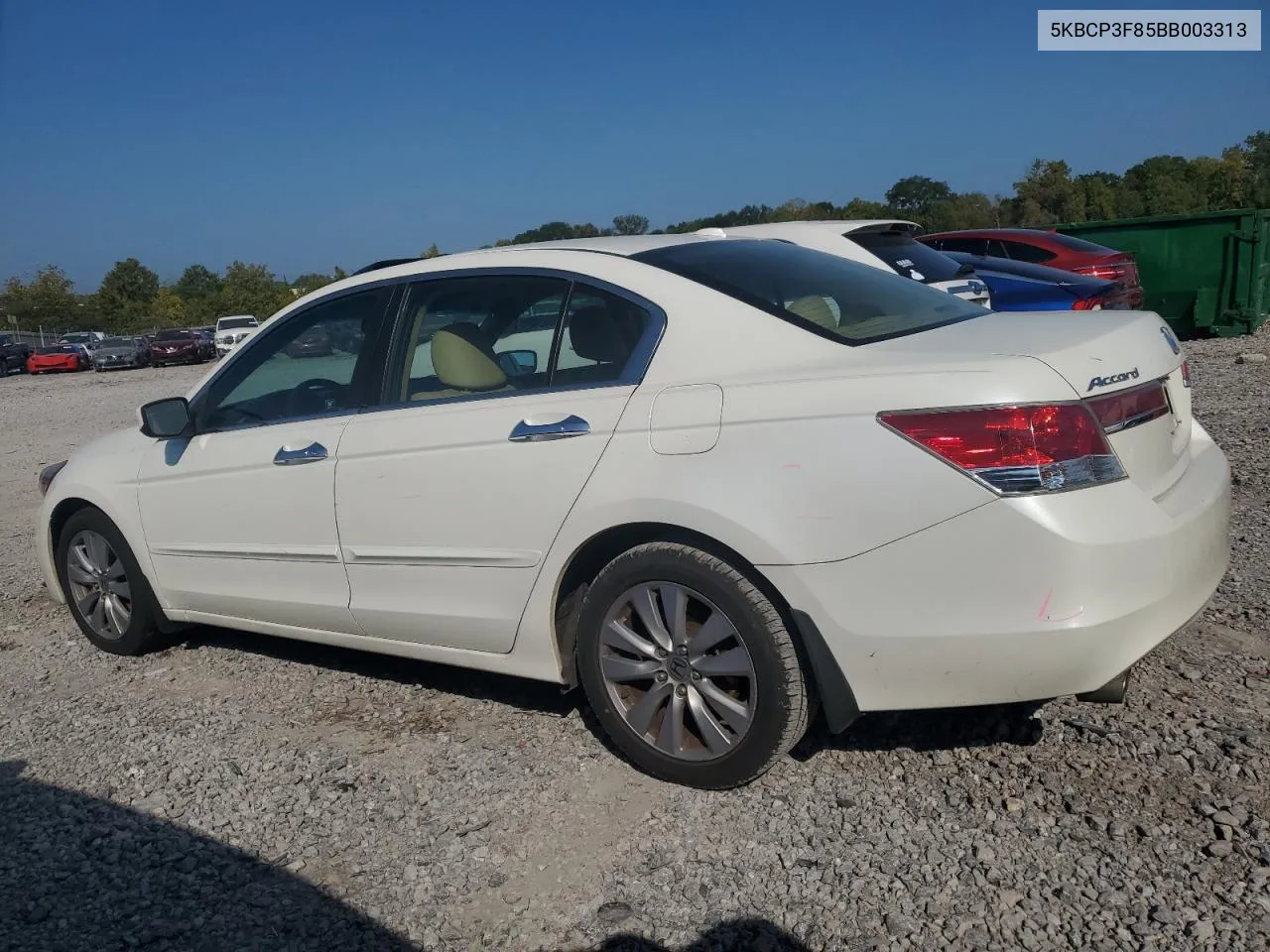 5KBCP3F85BB003313 2011 Honda Accord Exl