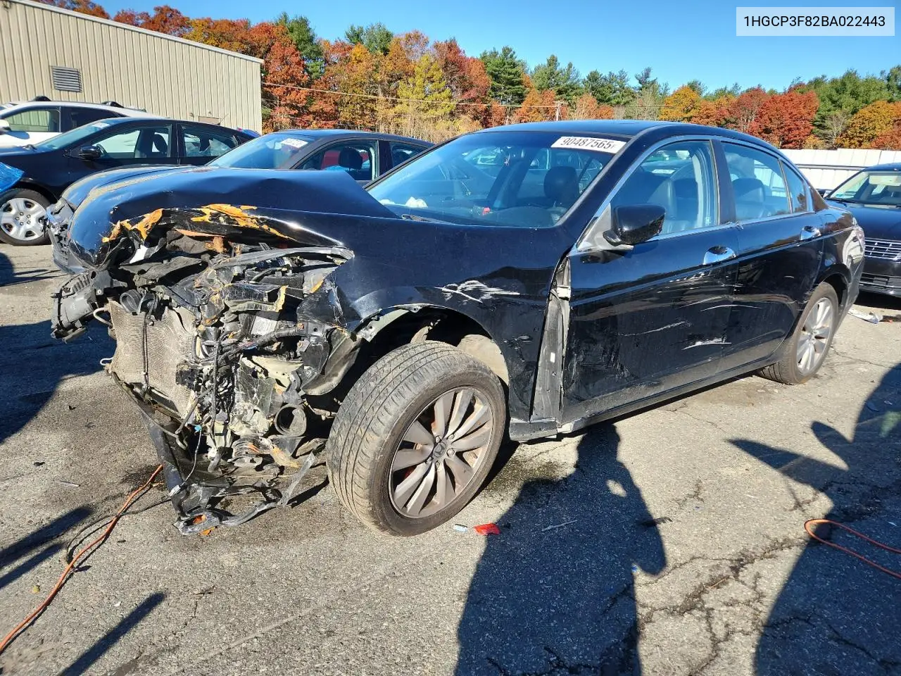 1HGCP3F82BA022443 2011 Honda Accord Exl