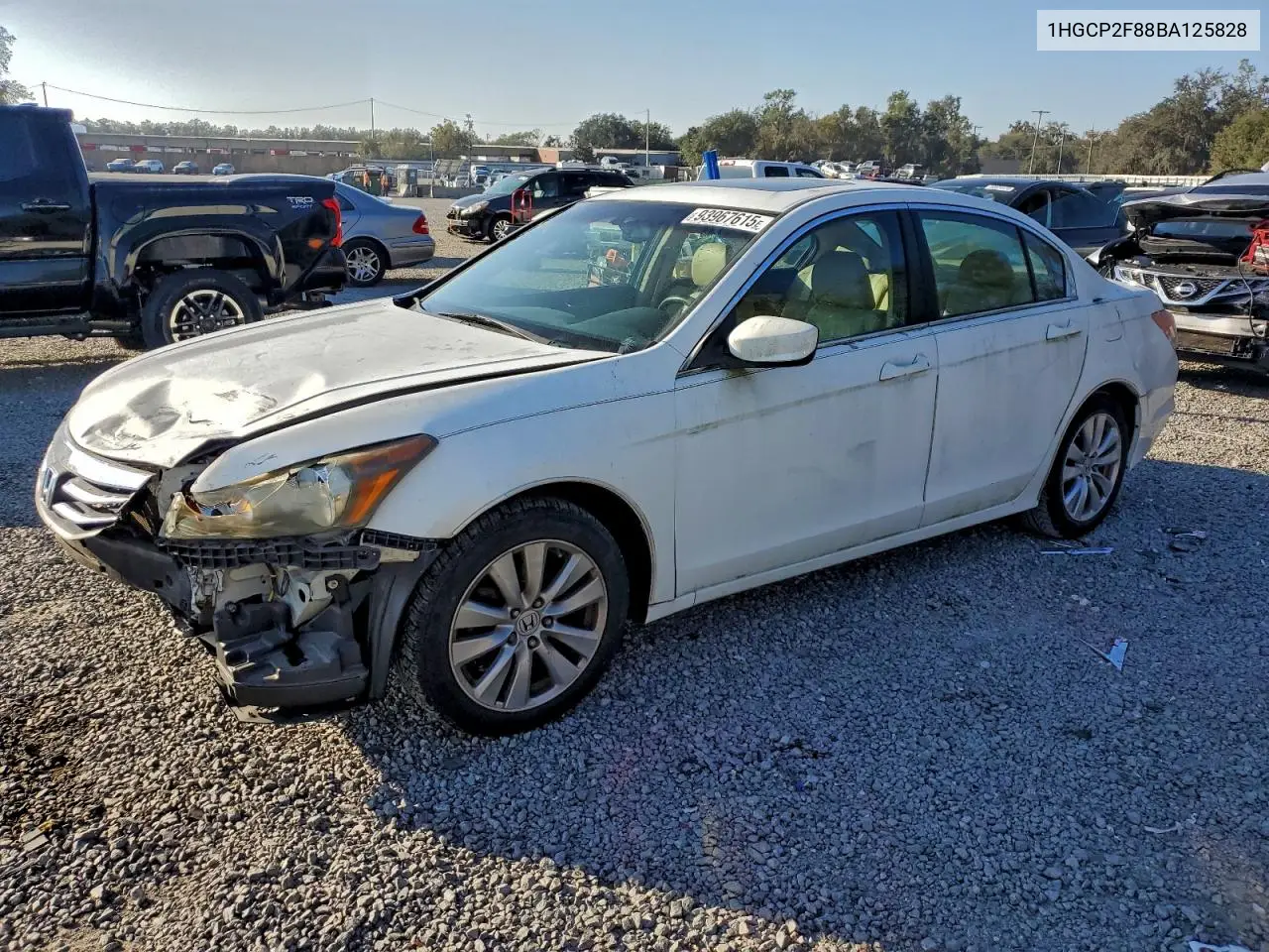 1HGCP2F88BA125828 2011 Honda Accord Exl