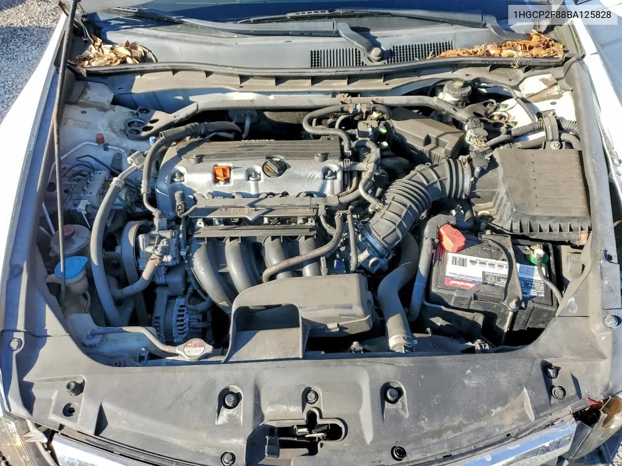 1HGCP2F88BA125828 2011 Honda Accord Exl