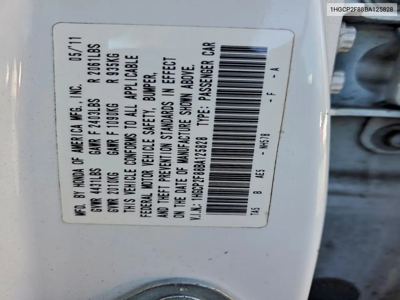 1HGCP2F88BA125828 2011 Honda Accord Exl