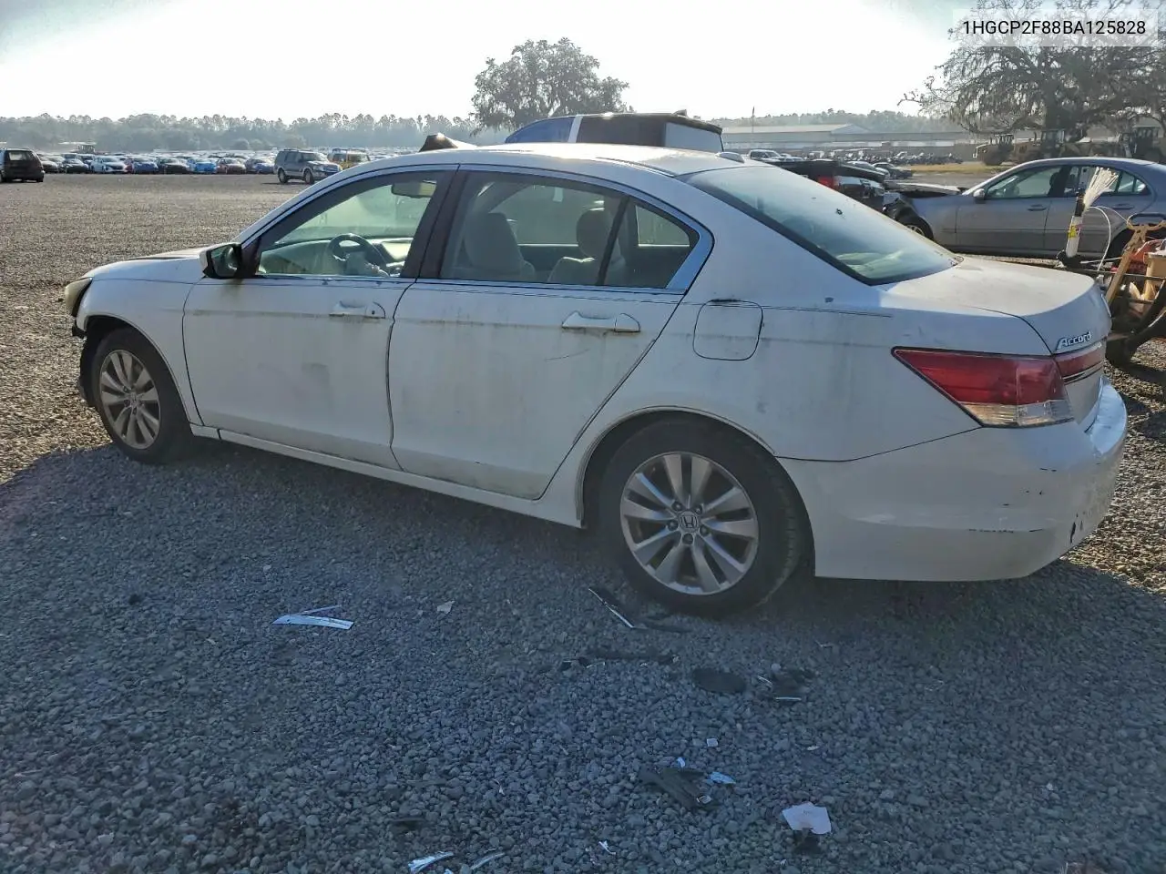 1HGCP2F88BA125828 2011 Honda Accord Exl