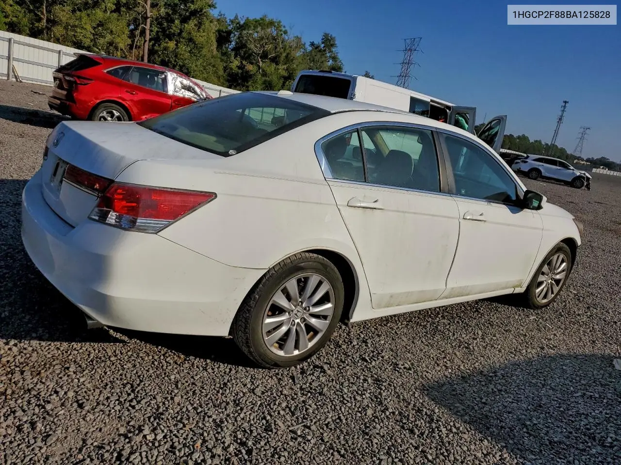 1HGCP2F88BA125828 2011 Honda Accord Exl