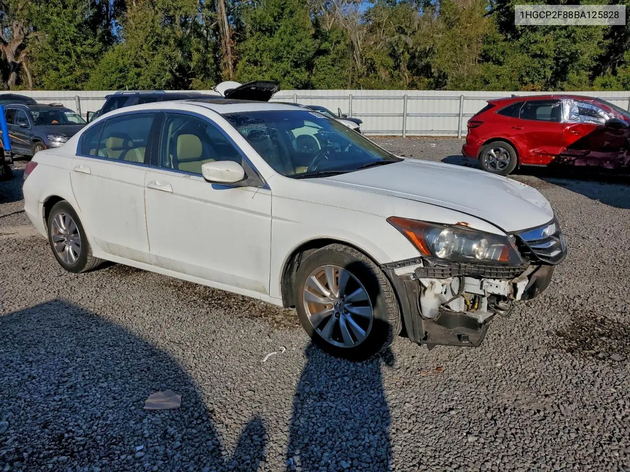 1HGCP2F88BA125828 2011 Honda Accord Exl