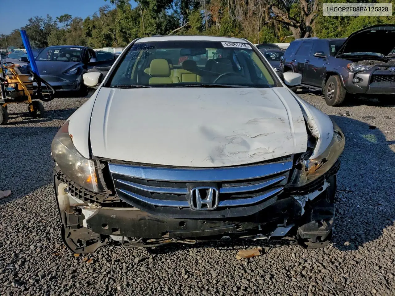 1HGCP2F88BA125828 2011 Honda Accord Exl